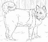 Akita Coloring American Pages Shiba Husky Dog Printable Dogs Drawings Color Drawing Kids Miniature Print Click Designlooter Search Adults Template sketch template