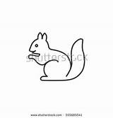 Arboreal Rodent Designlooter Squirrel Web sketch template