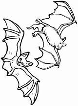 Coloring Pages Nocturnal Animals Bats Flying Kids sketch template
