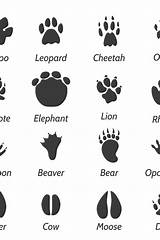 Footprints Animals sketch template