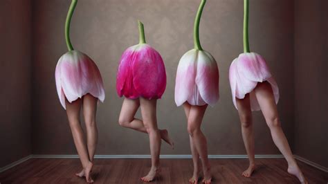 1366x768 sexy tulips desktop pc and mac wallpaper