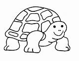 Coloring Turtle Tortoise Pages Drawing Cute Outline Sea Galapagos Turbine Wind Printable Cliparts Gopher Kids Para Getcolorings Cartoon Print Colorear sketch template