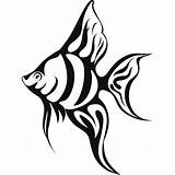 Fish Tropical Coloring Realistic Pages Drawing Clipart Sea Wall Decal Drawings Color Under Ocean Silhouette Clip Angel Angelfish These Simple sketch template