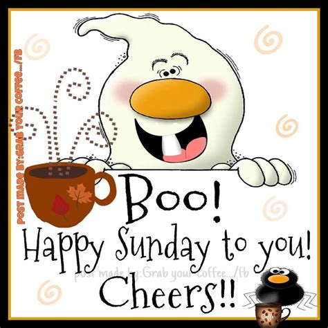 Boo Happy Sunday To You Cheers Good Morning Sunday