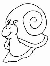 Coloring Pages Snails Snail Comments sketch template