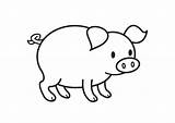 Coloring Pig Pages Printable sketch template