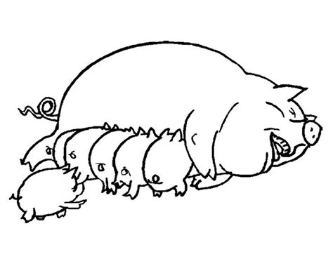family pig coloring pages coloring  kids coloring pages  kids