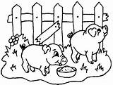 Coloriage Animaux Cochons Enclos Cochon Ferme Schwein Maialini Pigs Maiale Schweine Ausmalbilder Colorier Colorare Ausdrucken Coloriages Ausmalbild Disegno Caboucadin Enregistrée sketch template