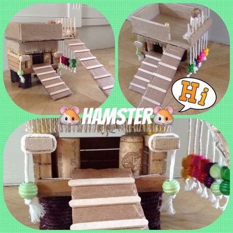 hamster toys and cages free cum fiesta