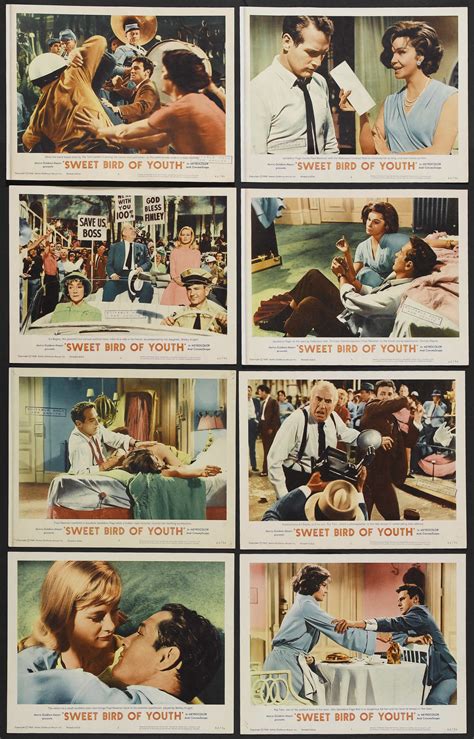 Sweet Bird Of Youth Mgm 1962 Lobby Card Set Of 8 11 X 14 Lot