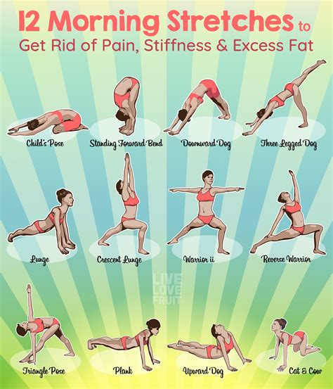 fitness workouts yoga fitness easy yoga workouts fitness body yoga