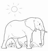 Savana Animali Elefante Coloradisegni sketch template