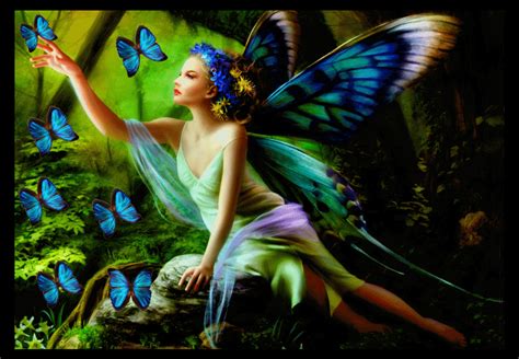 butterfly fairyanimated fairies photo  fanpop page