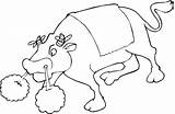 Bull Coloring Brahma Supercoloring Pages Printable Cow Color Online sketch template