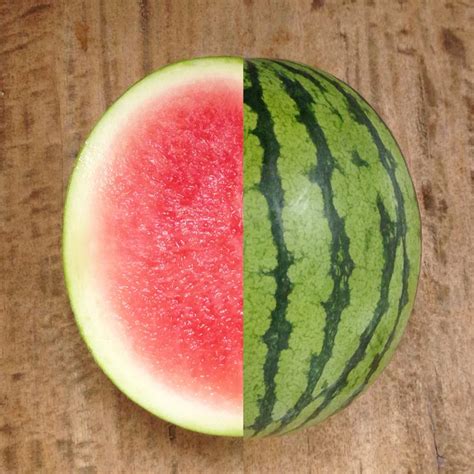 seedless fruit reproduce real food  plants