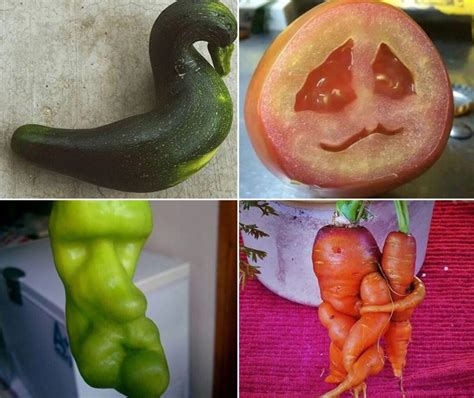The Uglyfruitandveg Instagram Account Wants To Give Weird Fruit And