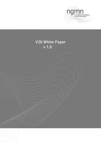 vx task force white paper  ngmn