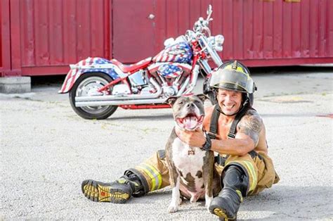 buy this sexy firefighters holding puppies and kittens calendar pleated jeans