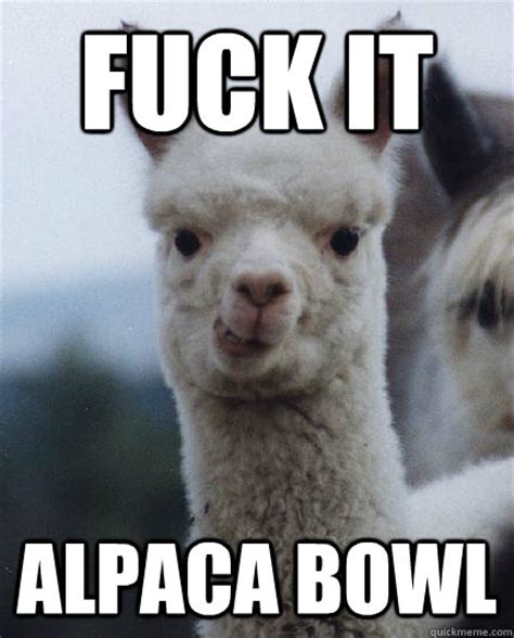 man fucks alpaca