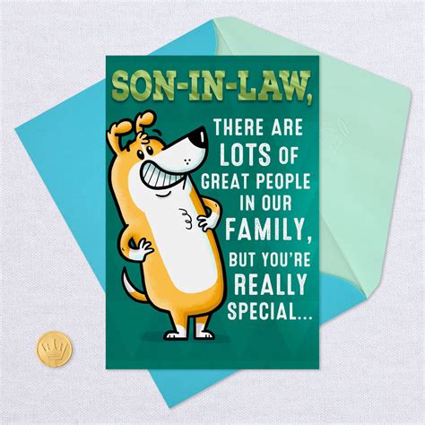 You Re Special Funny Birthday Card For Son In Law Greeting Cards