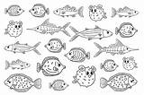 Tang Burrfish Marlin Tuna Flounder Vecteezy sketch template