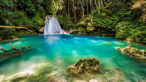 Cachoeiras Jamaicanas 5 Destinos Para Explorar O Melhor Da Ilha