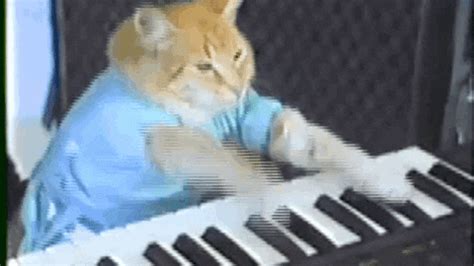 keyboard gif find share  giphy