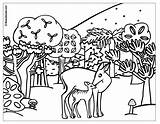 Forest Coloring Pages Animal Printable Kids sketch template