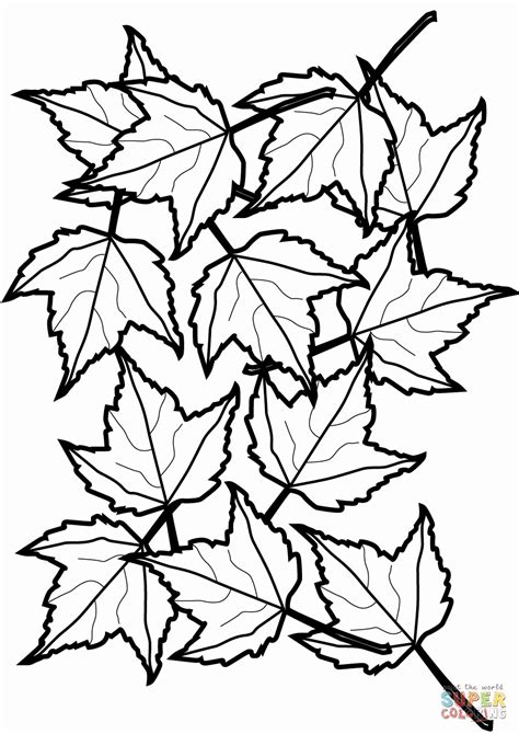 fall leaves coloring pages  getcoloringscom  printable