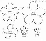 Template Flower Flowers Magic Templates Camellia Coloring Paper Clipart Printable Flores Pages Patterns Diy Felt Para Library Easy Kiwi Lane sketch template