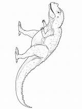 Tarbosaurus sketch template