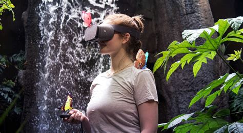 fluttering through the amazon forest in virtual reality game