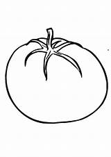 Coloring Pages Tomato sketch template