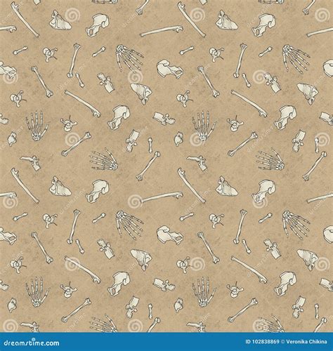 bones pattern stock illustration illustration  anatomy