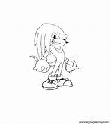 Knuckles Standing sketch template