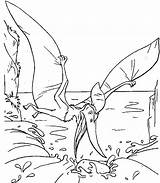 Dinosauri Dinosaure Volant Colorat Dinozauri Bojanke Dinosaurs Animale Planse Colorir P88 Pterosaur Dinossauros Imprimer Crtež Dvadeset šest Dinossauro Primiiani Printanje sketch template