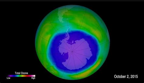 nasa sees evidence of ozone protection from cfcs the washington post