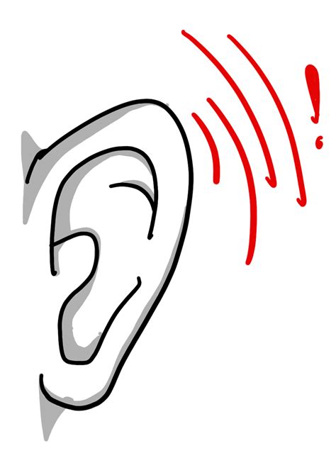 ear sound audio royalty  stock illustration image pixabay