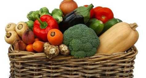 8 must have vegetables for pregnancy read health related blogs