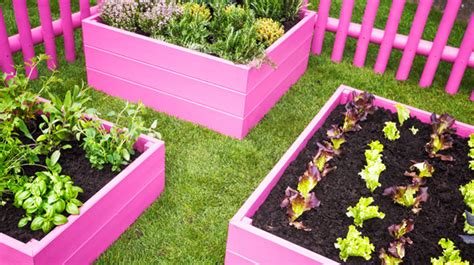 Planning Your Perfect Backyard And Garden