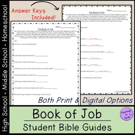 bible study questions   book  job   teachers