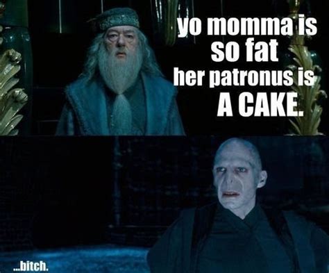 dumbledore funny haha harry potter voldemort image 63449 on