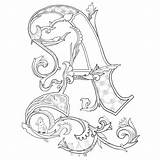 Coloring Alphabet Celtic Pages Getcolorings Letters Animal Illuminated Color sketch template