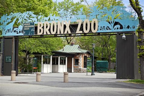 zoos   world   visit    vacayholics