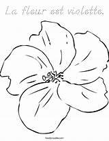 Coloring Violette Fleur Est La Flowers Outline Built California Usa Twistynoodle Noodle Cursive sketch template
