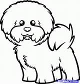 Bichon Frise Dog Coloring Drawing Draw Pages Memorial Search Puppy Google Tutorials Animals Choose Board Ua Pp sketch template