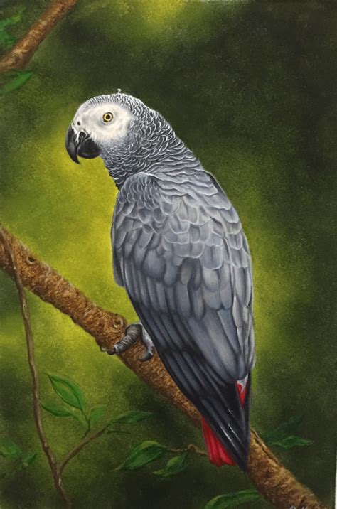 buy african grey parrot handmade painting  sudhir suvarna codeart paintings