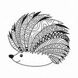 Hedgehog Antistress Zentangle sketch template