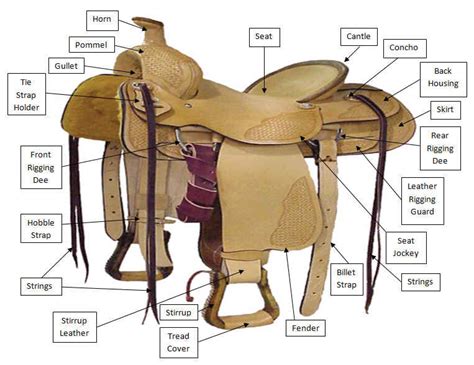 gallery  western saddle parts