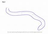 Worm Velvet Step Drawing Draw Tube Body Make sketch template